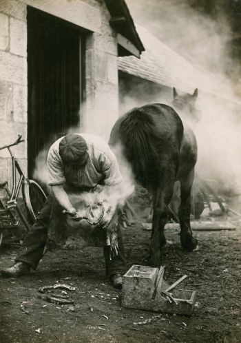 Blacksmith and horse